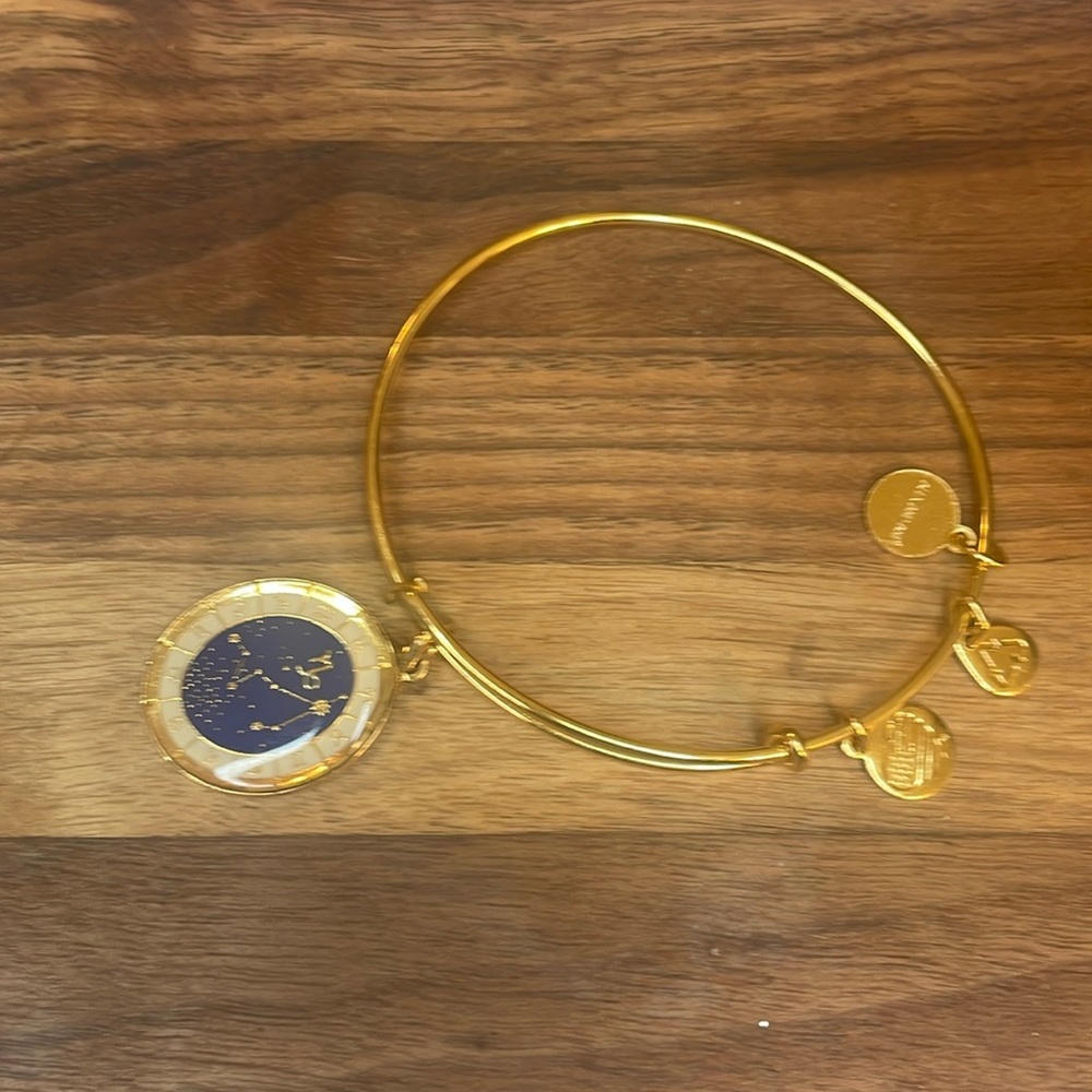 Alex and Ani Capricorn Zodiac Bracelet Gold